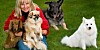 få den hund du fortjener få den hund du fortjener
